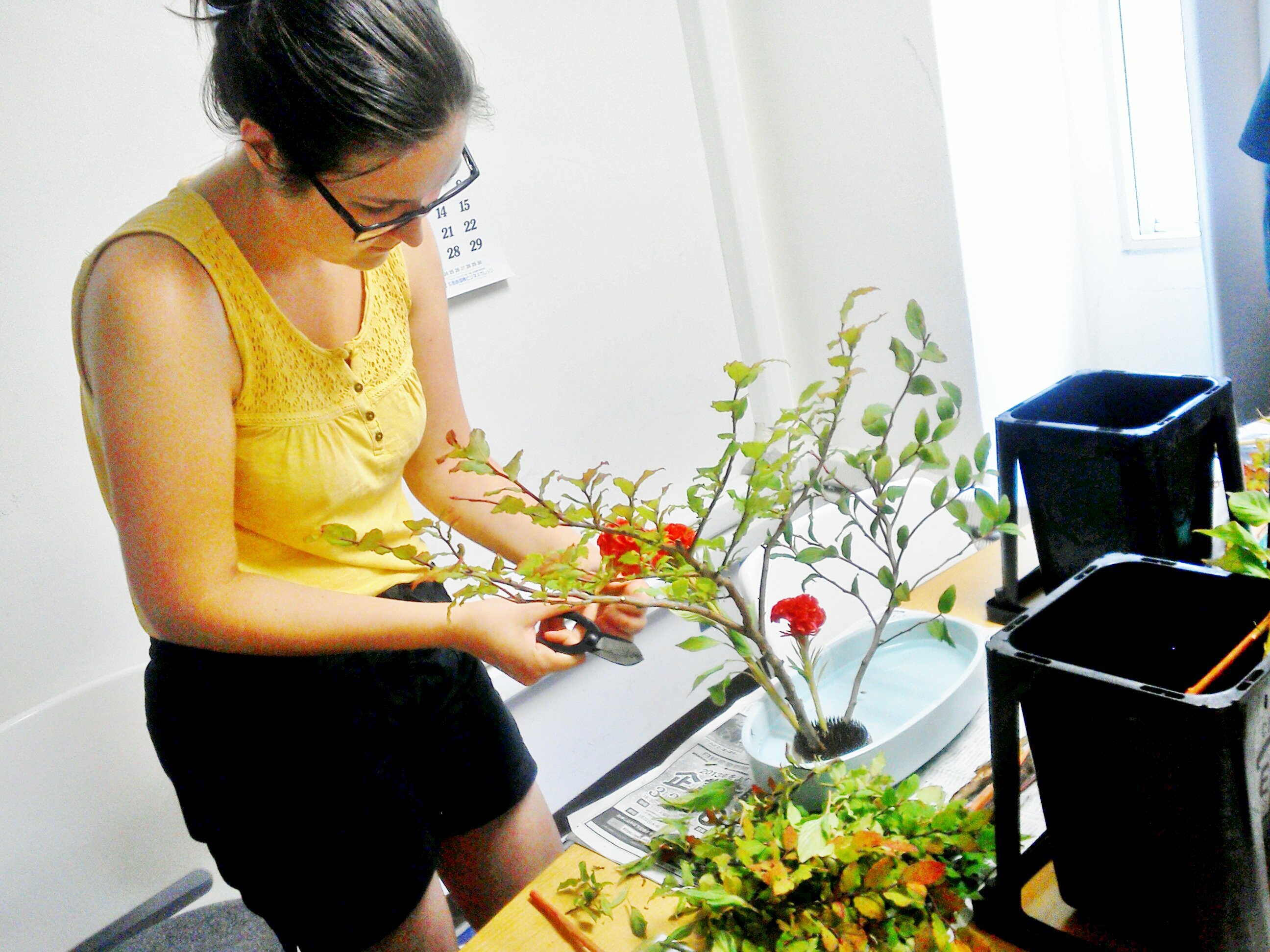 IMG_20150811_161950 Ikebana